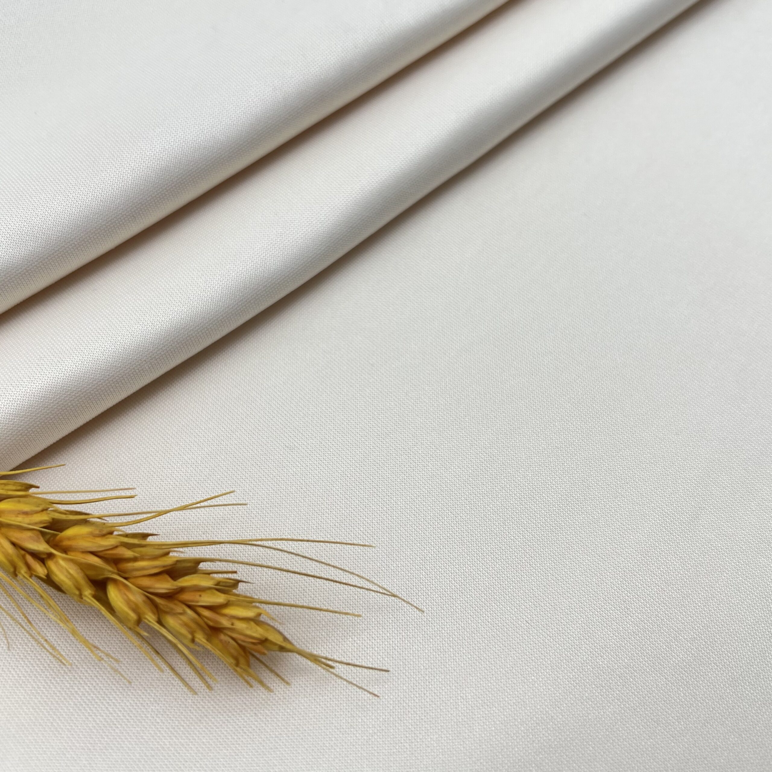 TR空气层 - Image 2