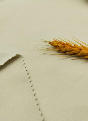 微信图片_20251015151516_48_3