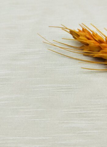 微信图片_20251017111542_125_3